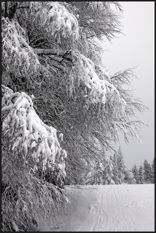 Willingen ein Wintermärchen