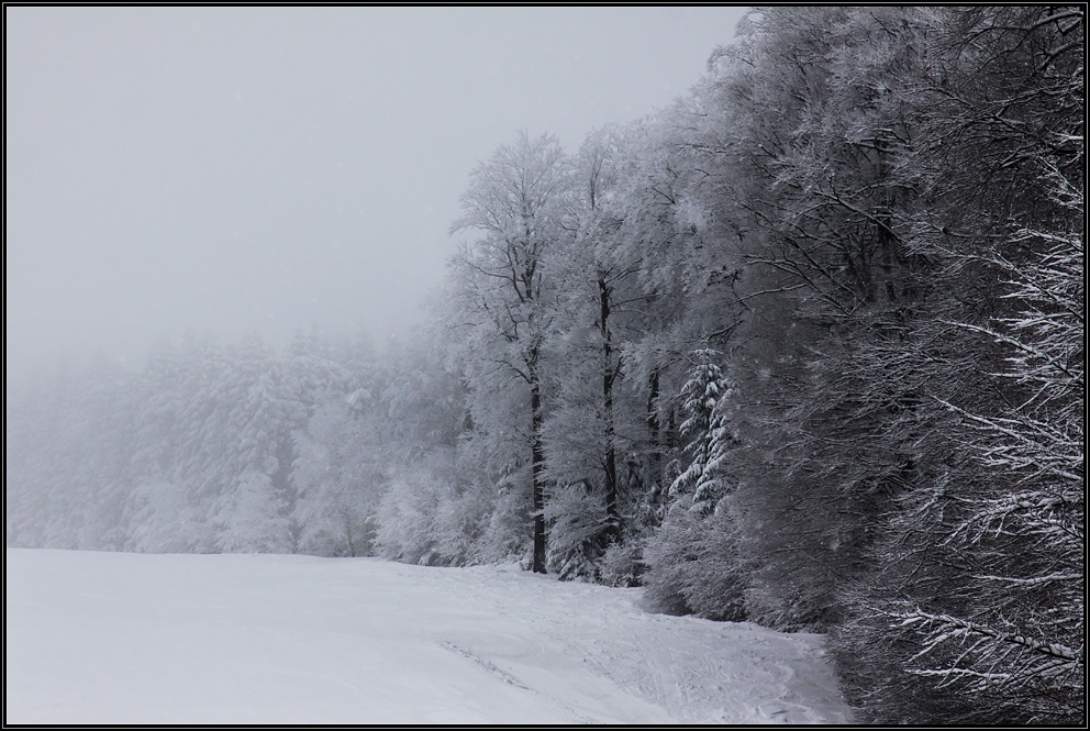 Willingen im Winter