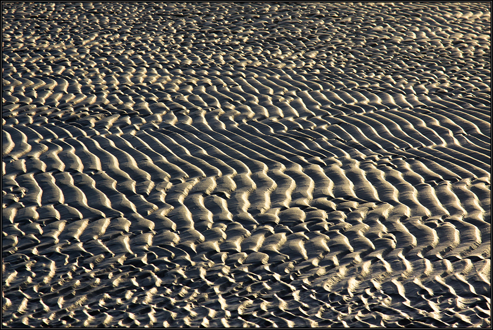 Borkum XIV