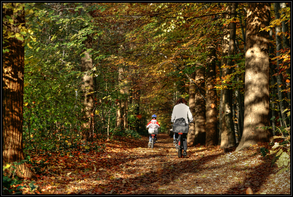 Aaper Wald in Düsseldorf-Rath 