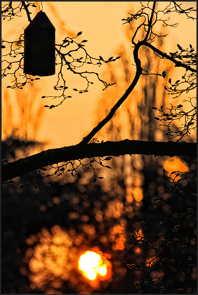 Nordpark Düsseldorf