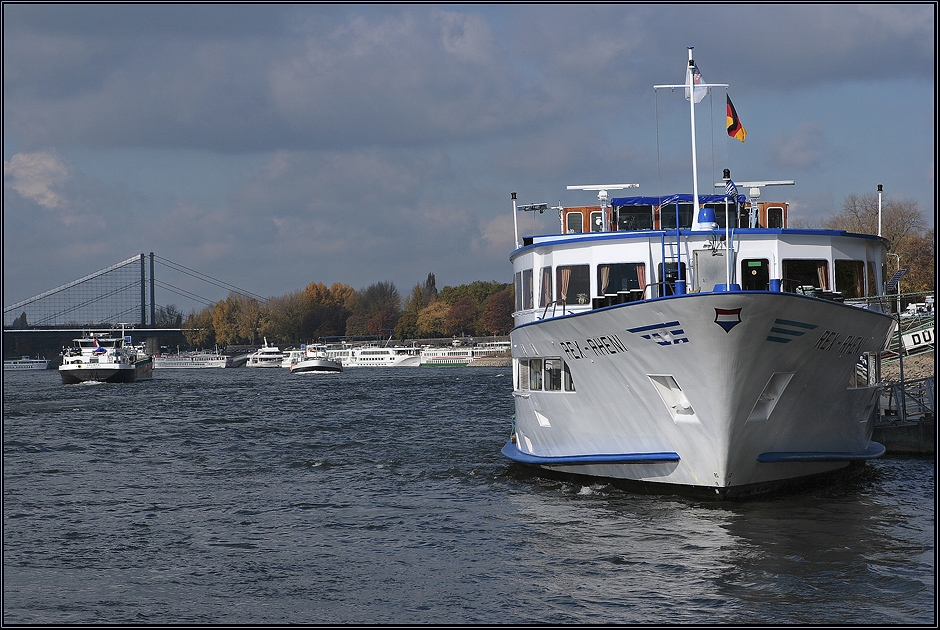 MS "Rex Rheni" in Düsseldorf