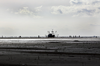 Krabbenfänger auf Borkum 