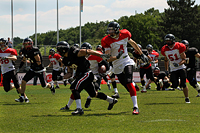 Halbfinale gegen die Cologne Falcons am 14. Juni 2010 