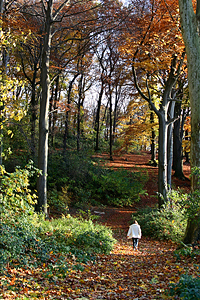 Grafen­berger Wald-­Düssel­dorf